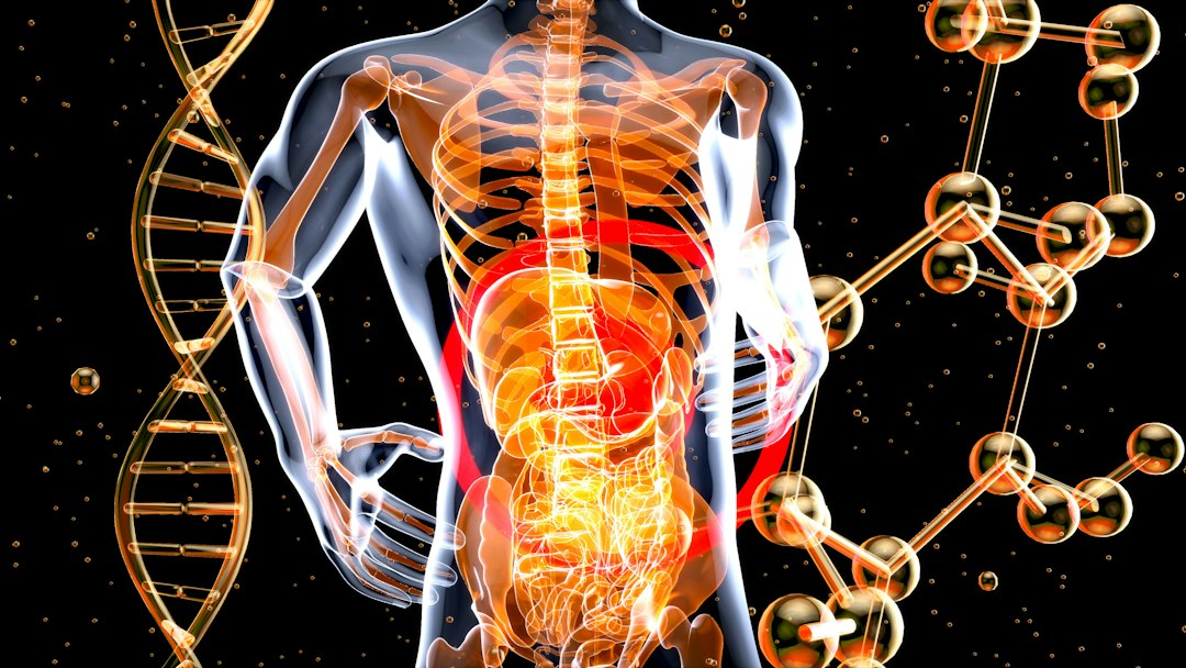 Intestinal Permeability and Food Sensitivities: How They're Connected